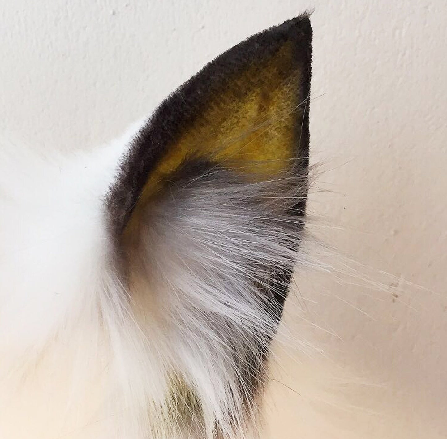 wolf ears, faux fur ears, fox ears, fluffy ears, kitten ears, costume ears,animal ears, ears, cosplay ear, kitten ears, anime cosplay, 145