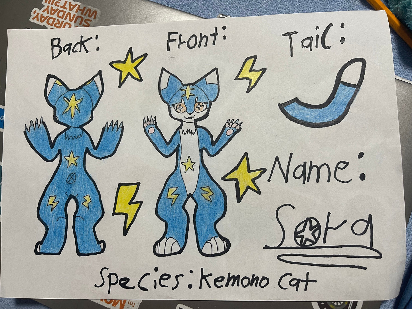 Customized body, tail, paws and feet paws