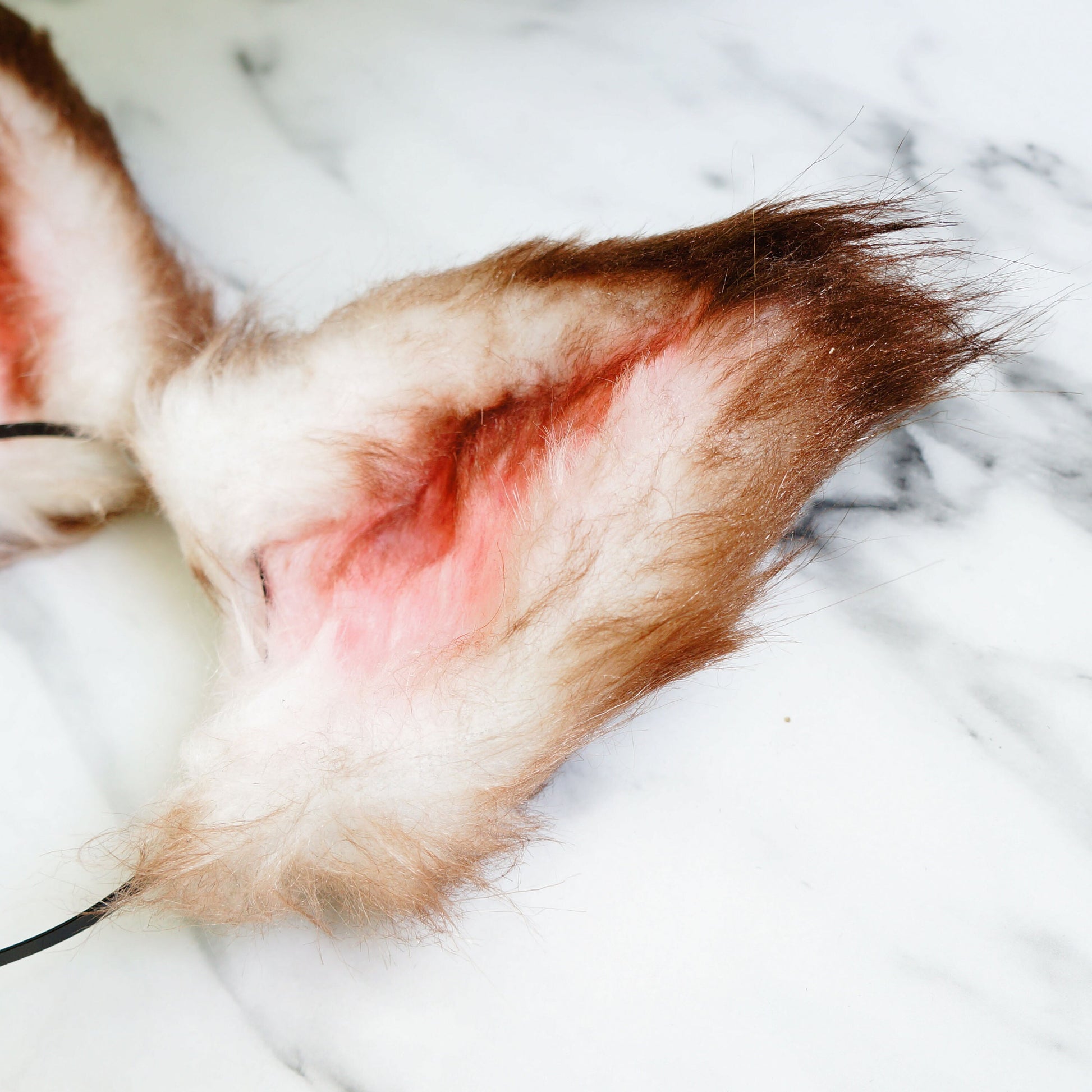 dirty cat ear, kitten ear cosplay, kitten ear headband, drity cat headband, brown fox ear, realistic cat ear, realistic fox ear, 220