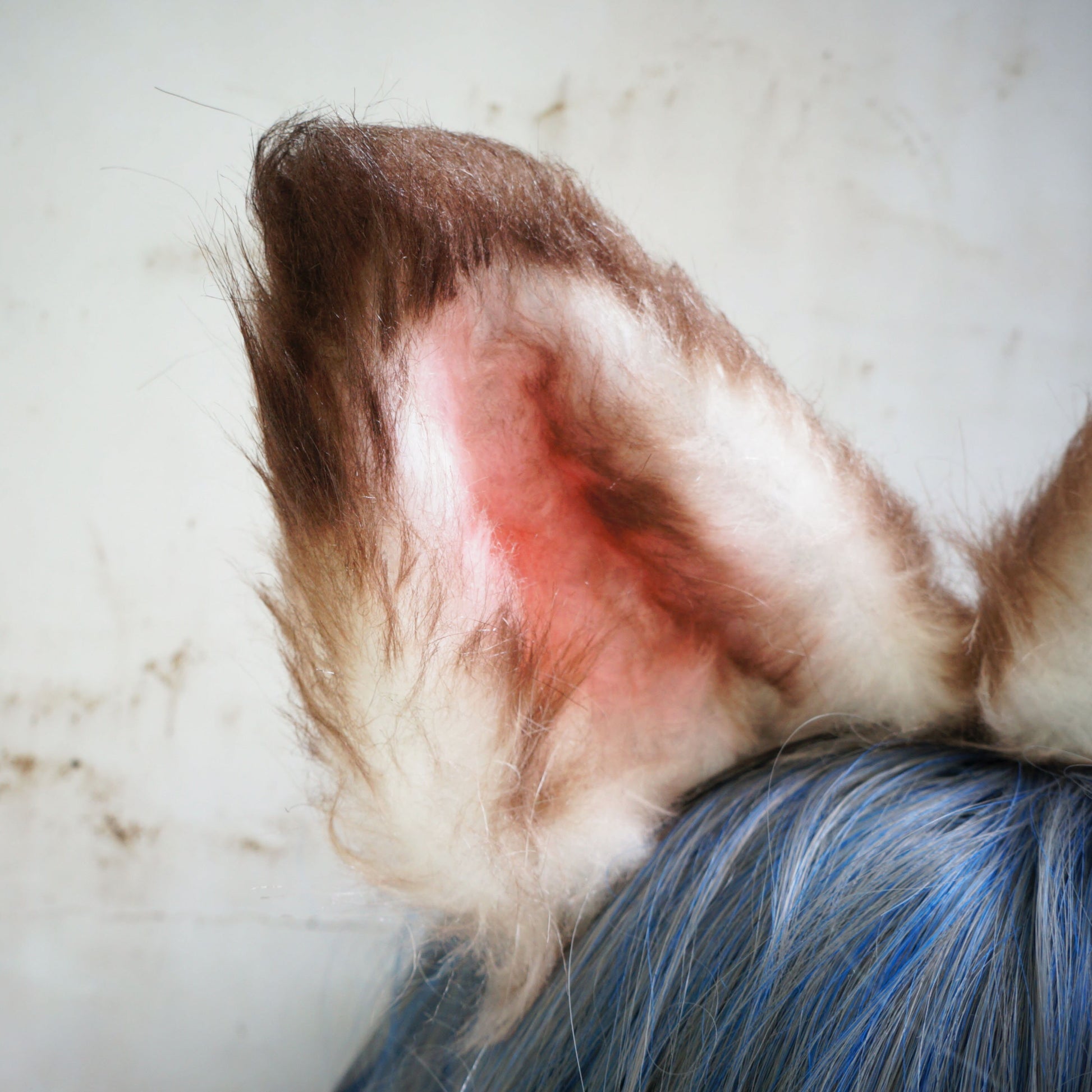 dirty cat ear, kitten ear cosplay, kitten ear headband, drity cat headband, brown fox ear, realistic cat ear, realistic fox ear, 220