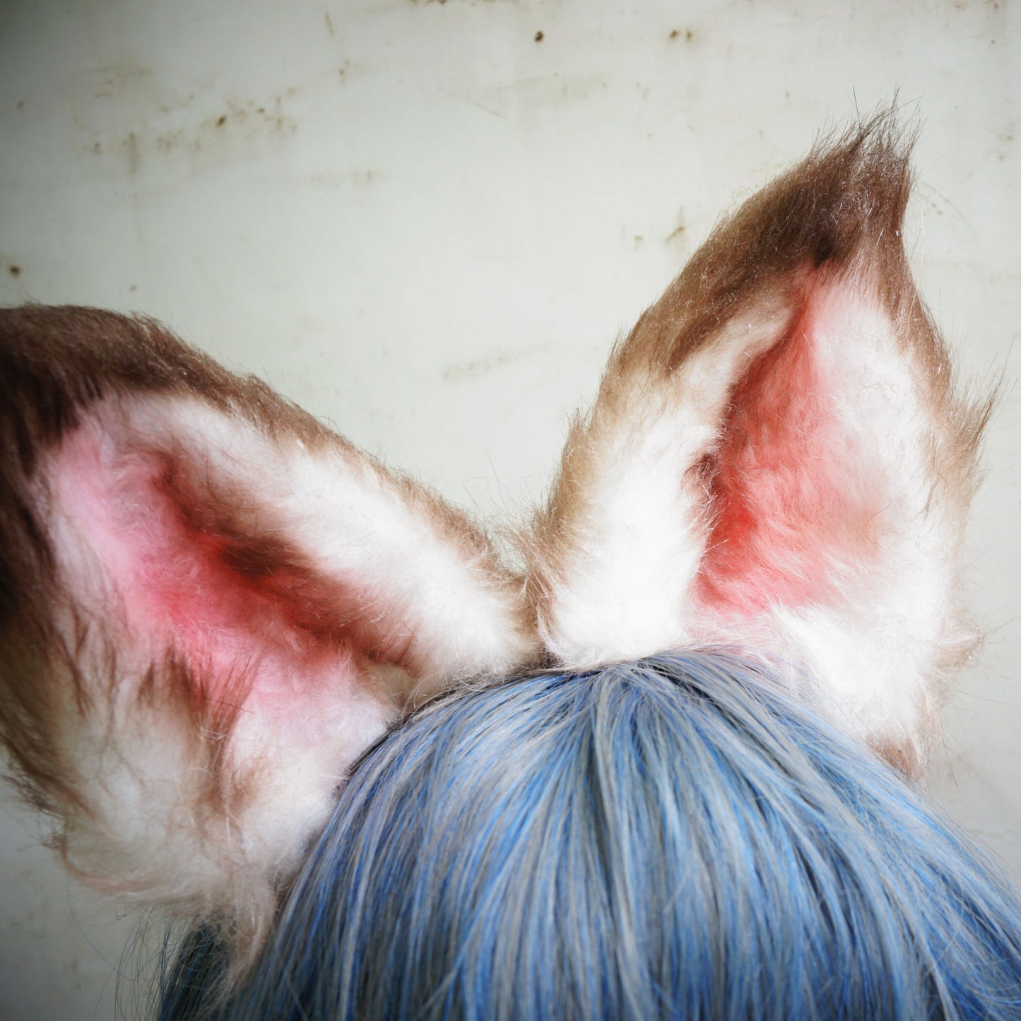 dirty cat ear, kitten ear cosplay, kitten ear headband, drity cat headband, brown fox ear, realistic cat ear, realistic fox ear, 220