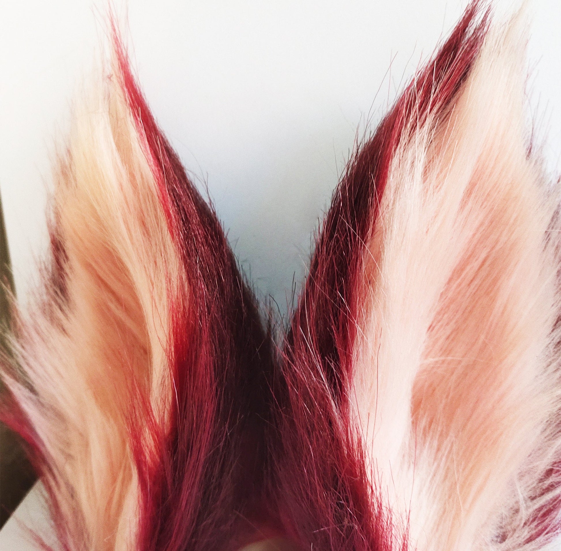 cosplay ear, kitten ears, anime cosplay, faux fur ears, blood wolf ears, costume ears,animal ears,fox ears, fluffy disney ears, MTO, 104