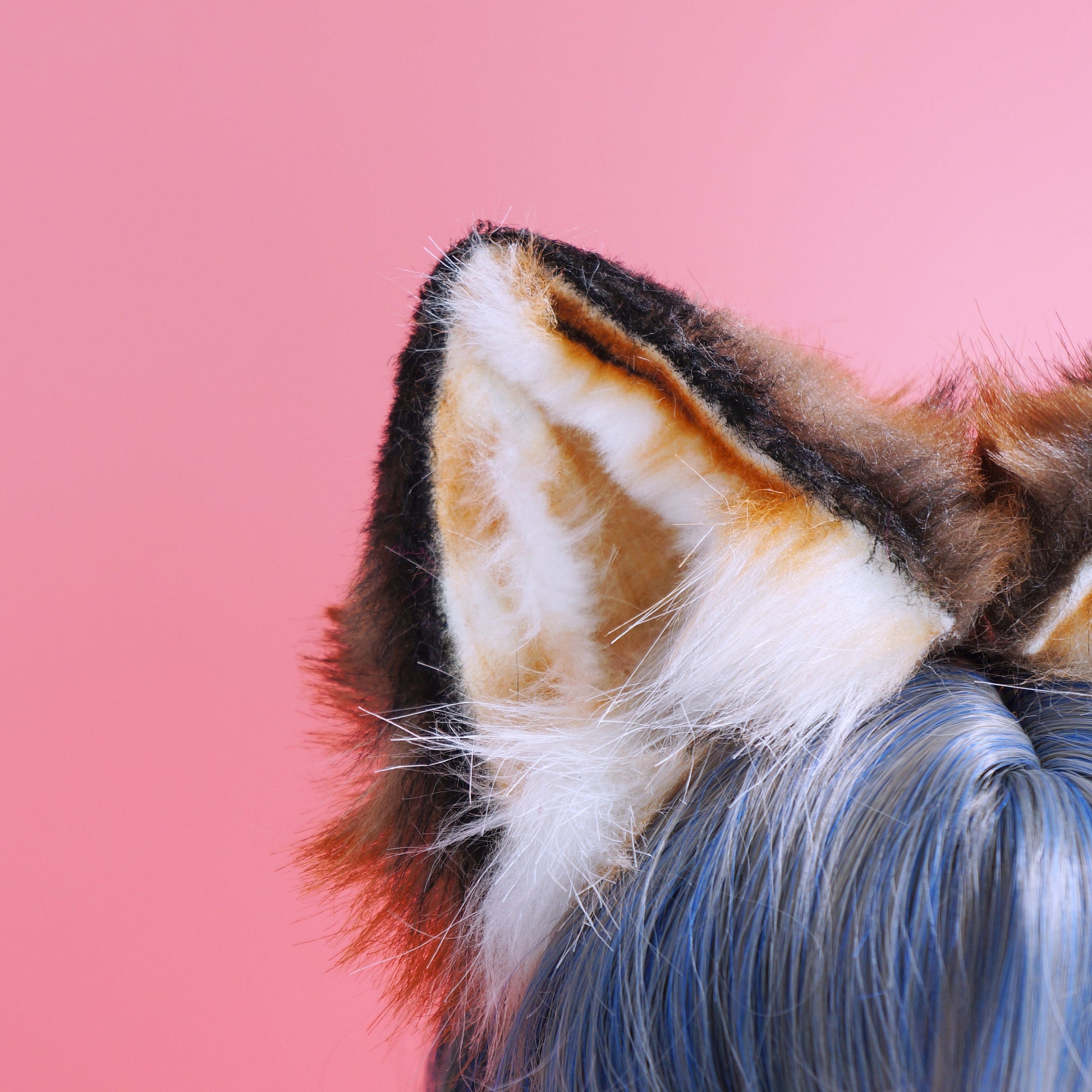 Fluffy fox ears, Realistic fox Ears, Faux Fur ears, cat Ears Headband，fox ears Headband, fox ears ,pink wolf Ears, Faux fur Ears, 197