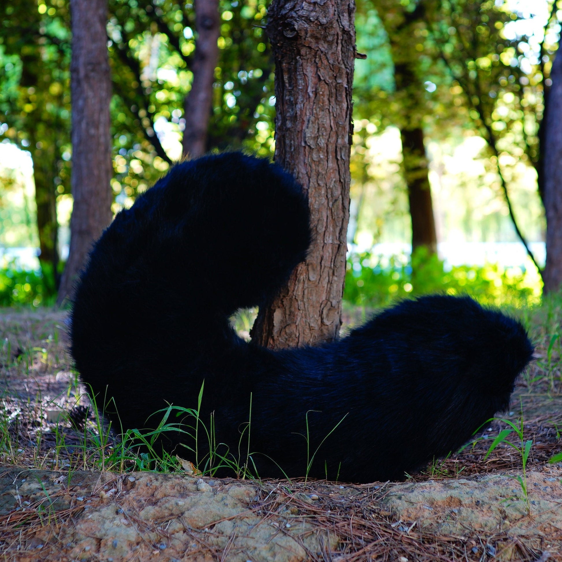 raccoon Tail, black cat fursuit tail, black kitten tail, furry curly tail, floor-length tail, wolf tail, fursuit commission, furry tail