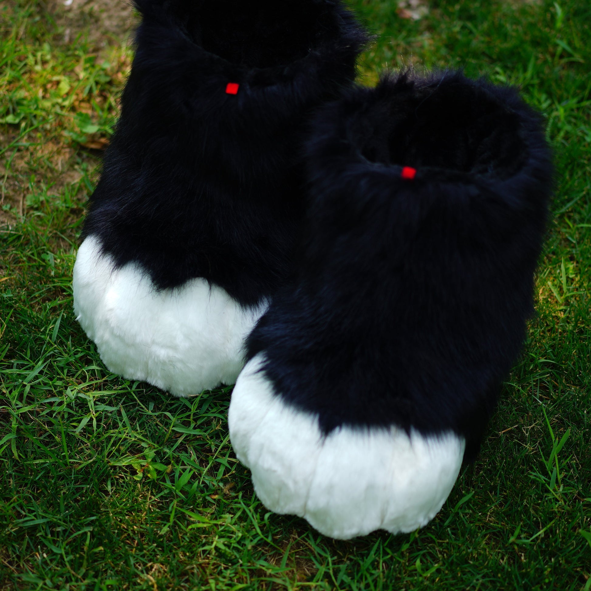 fursuit feet paws, toony foot paw, kemono foot paw, cat paws, puppy paws, wolf paws, tiger paws, fox paws, black kemono feet paws